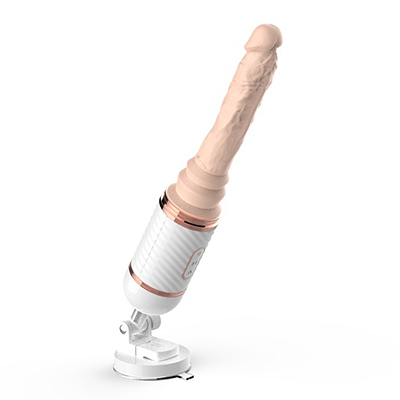 Introduzione dei dildo